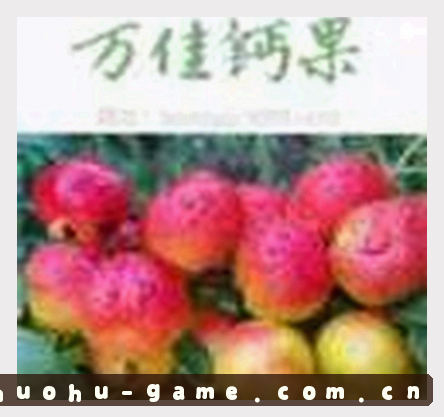 小天